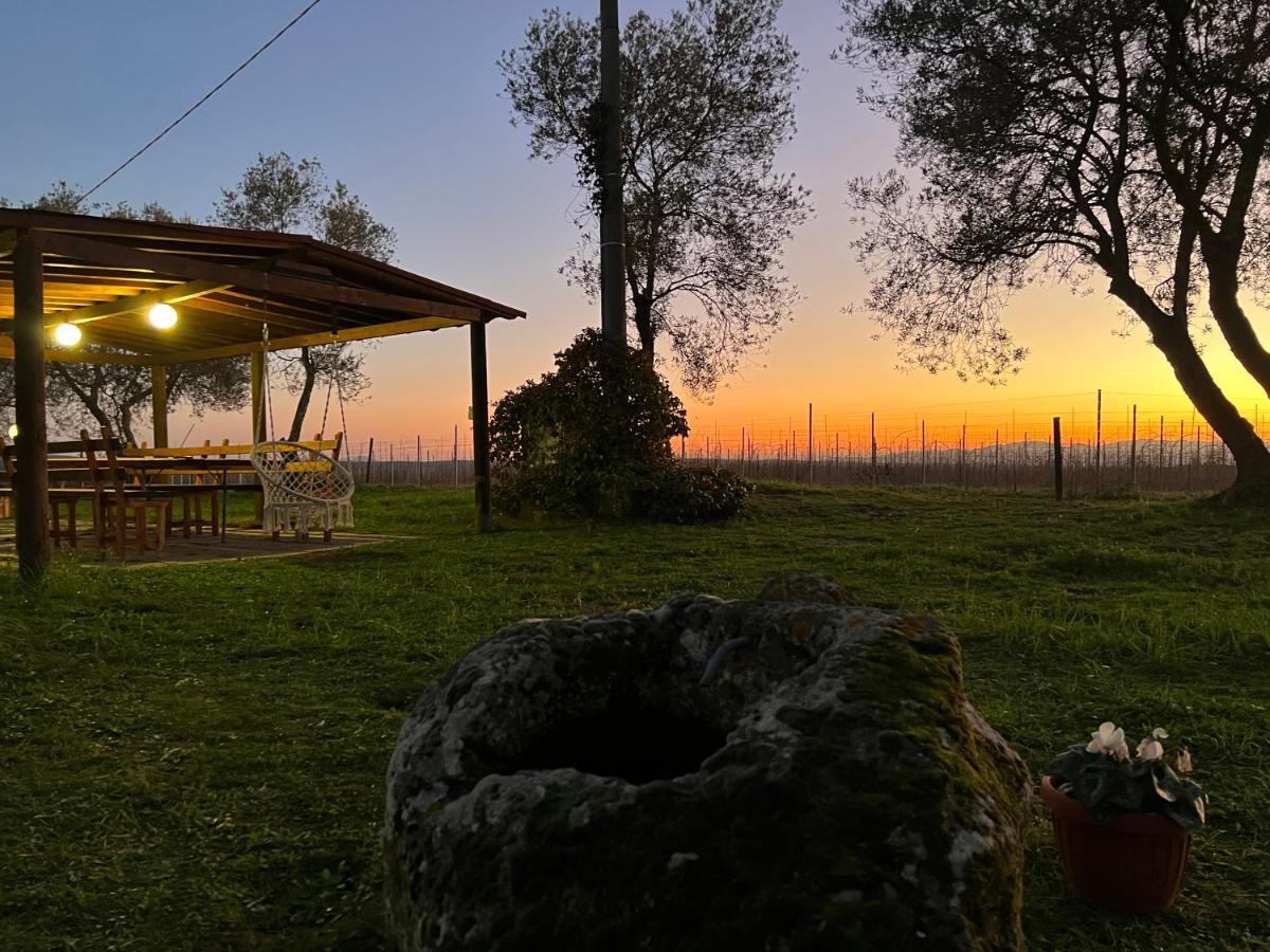 Agriturismo Tenuta Roccaccia Πιτιλιάνο Εξωτερικό φωτογραφία